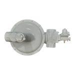 رگولاتور گاز صنعتی الستر جیوانز J125-S8